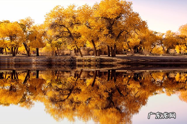 中国最原始的森林 中国最美原始森林有哪些