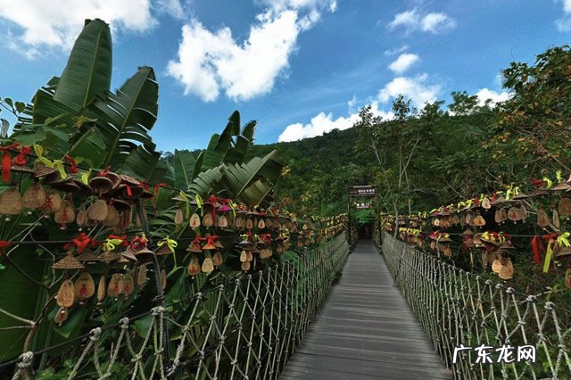 中国最原始的森林 中国最美原始森林有哪些