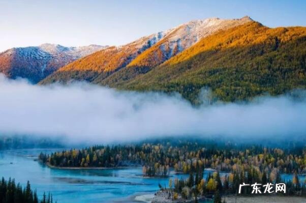 世界最美森林 中国十大美森林