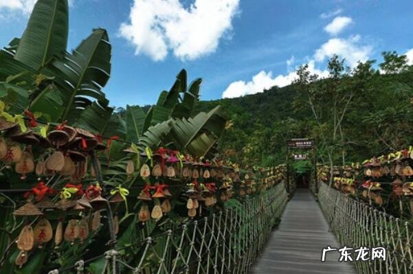 世界最美森林 中国十大美森林