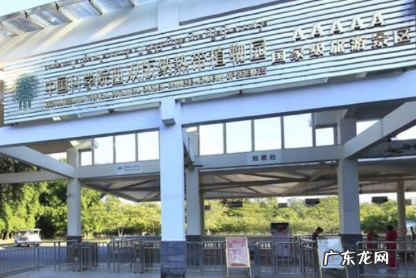 世界最美森林 中国十大美森林