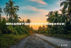 怎样在自媒体发表文章 如何在自媒体平台发布软文