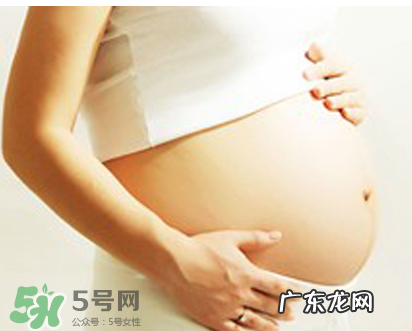 孕妇可以吃竹叶菜吗?竹叶菜孕妇可以吃吗?