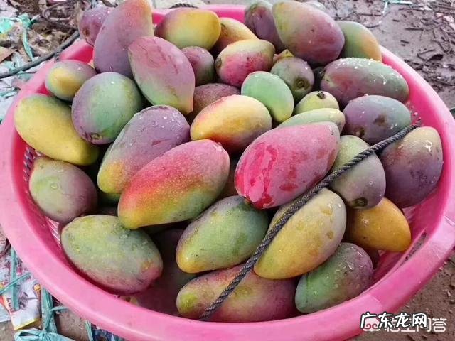 海南的夏天该怎么正确度过