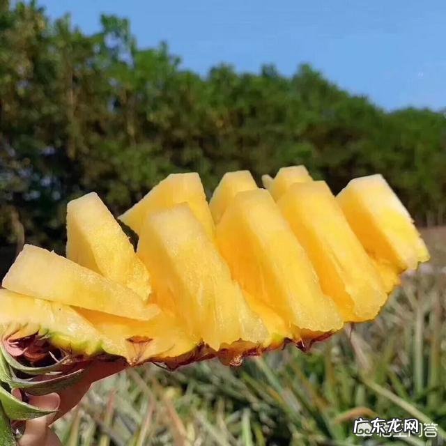 海南的夏天该怎么正确度过