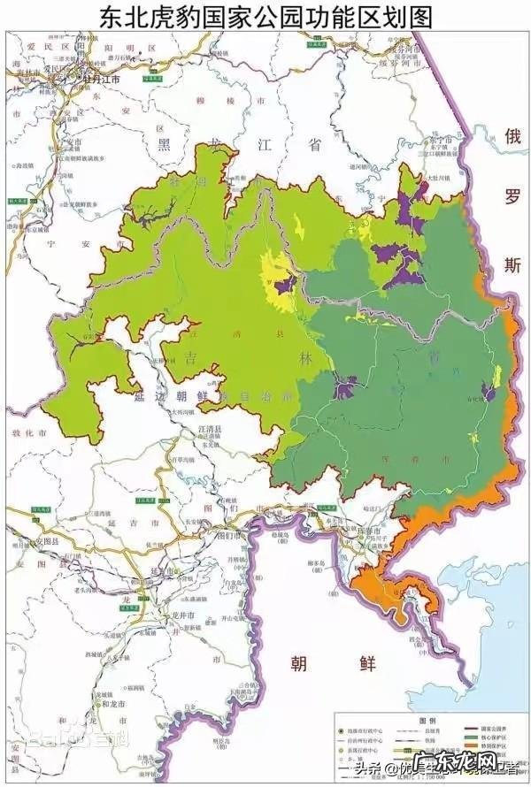 野生老虎和圈养老虎数量是多少为什么会这样