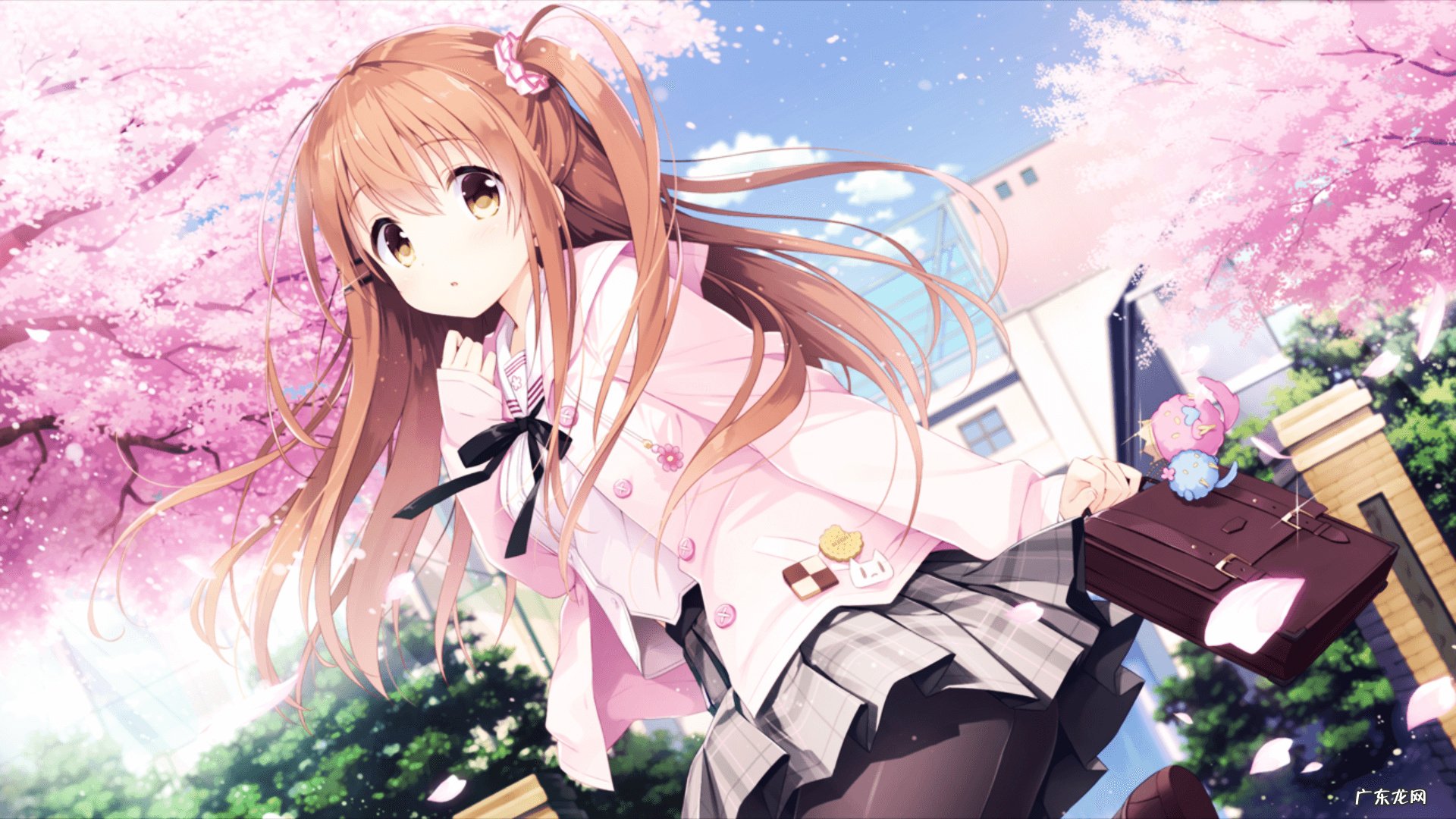 所谓的奶昔减肥其实是蛋白粉减肥是吗?