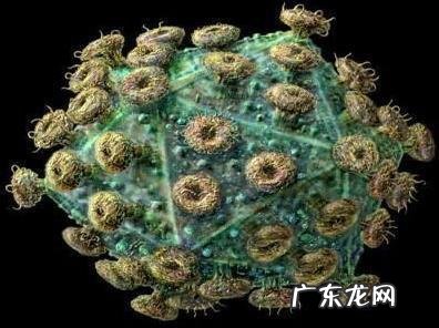 红斑狼疮早期有什么症状？