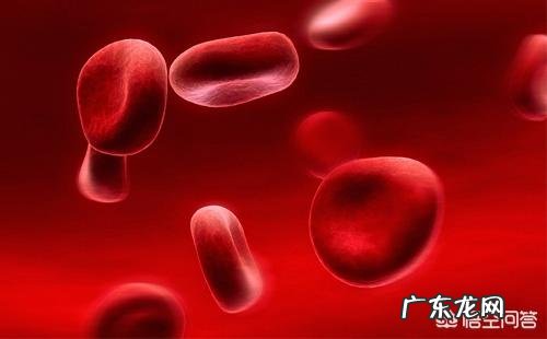 一边贫血一边肥胖，青春期的营养不良如何解决？