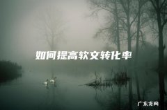 如何提高软文转化率