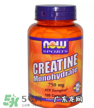 now foods肌酸说明书 now foods肌酸怎么吃