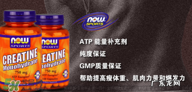 now foods肌酸说明书 now foods肌酸怎么吃