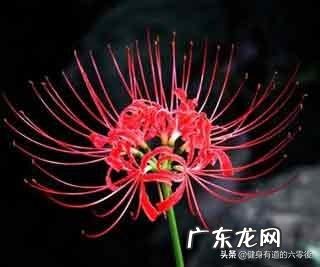 我妈最近总说自己膝关节疼痛是怎么回事啊有什么办法可以改善吗