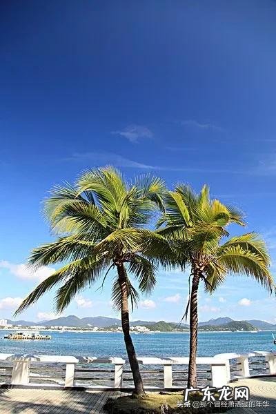 相对来讲，海南哪几个地方冬天较冷哪些地方更适宜过冬