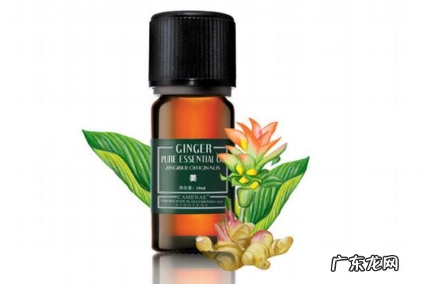 生姜精油有什么作用 生姜精油的功效有什么