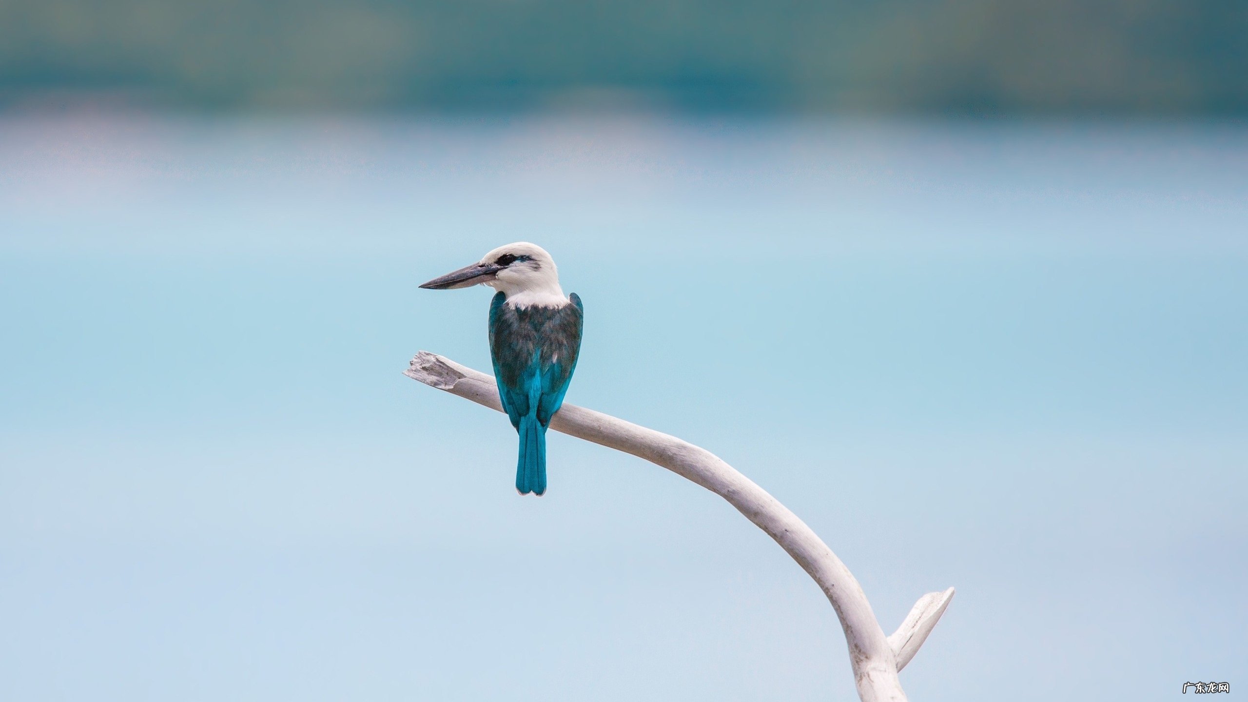 一般婴儿出生时身高 体重是多少 婴儿出生的标准身高体重