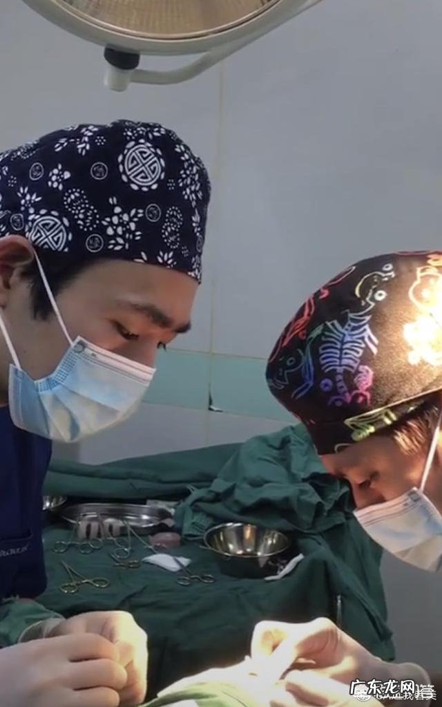 橘子皮可以去冰箱异味吗? 橘子皮真的能去除冰箱味吗