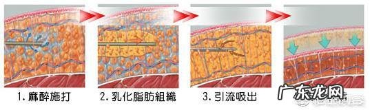橘子皮可以去冰箱异味吗? 橘子皮真的能去除冰箱味吗