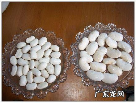 白芸豆是一种减肥药还是一种食物呢？
