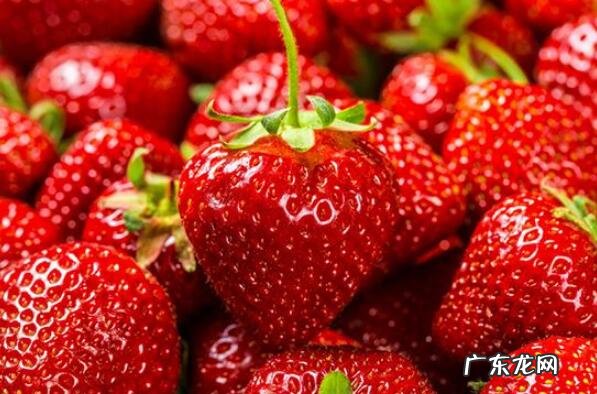 你知道能提高免疫力的水果有哪些? 提高免疫力的10大水果