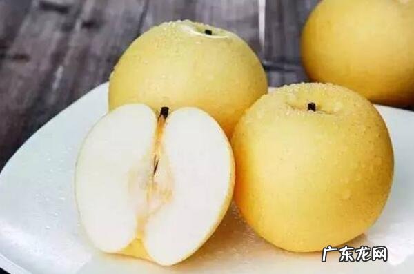 你知道能提高免疫力的水果有哪些? 提高免疫力的10大水果