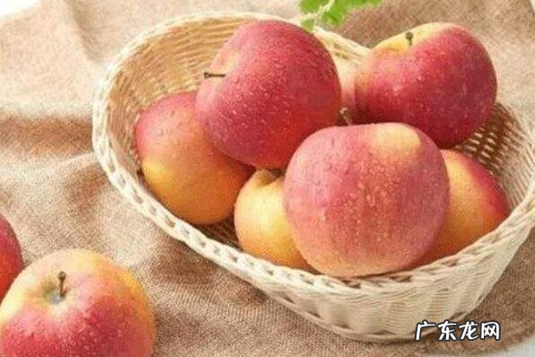 你知道能提高免疫力的水果有哪些? 提高免疫力的10大水果