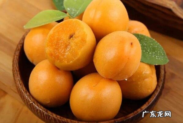 你知道能提高免疫力的水果有哪些? 提高免疫力的10大水果