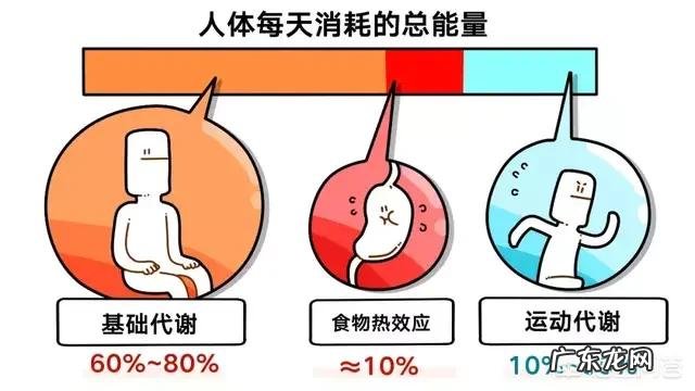 总想着吃面包蛋糕等甜食碳水怎么办？
