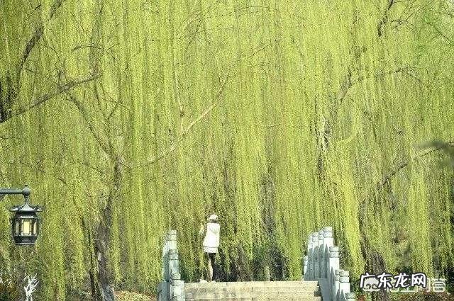 你作为土生土长的北方人,到南方去,生活习惯还好吗