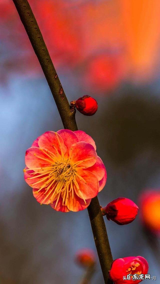 讲一讲舍友有什么奇葩的生活习惯让你无语