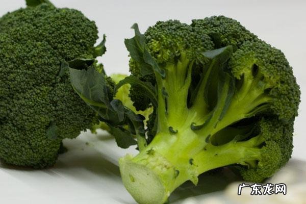 气虚则肥胖,夏天应该如何补气减肥方法教给你,坚持下去或能瘦