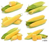 每天一根玉米，对身体有什么好处有哪些吃法呢
