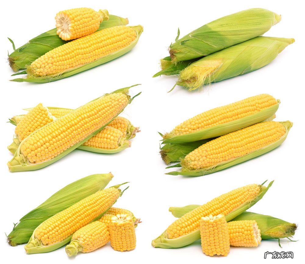 每天一根玉米,对身体有什么好处有哪些吃法呢