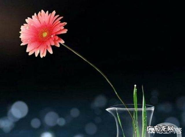 如何用21天的时间养成一种好的生活习惯?