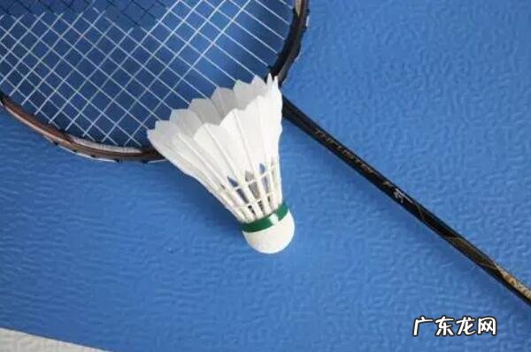 东京奥运会新项目 东京奥运会受关注的十大运动项目