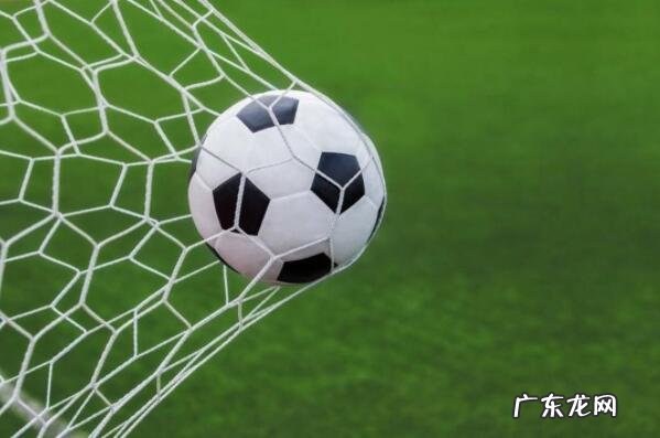 东京奥运会新项目 东京奥运会受关注的十大运动项目