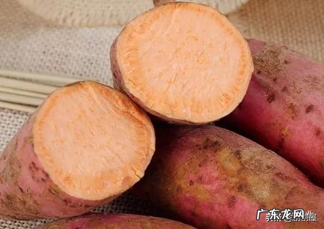 西瓜红红薯好吃吗?与其他的有什么区别?