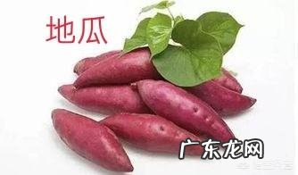 山药和红薯都是根茎向下生长的植物,它们有性质一样的作用吗?