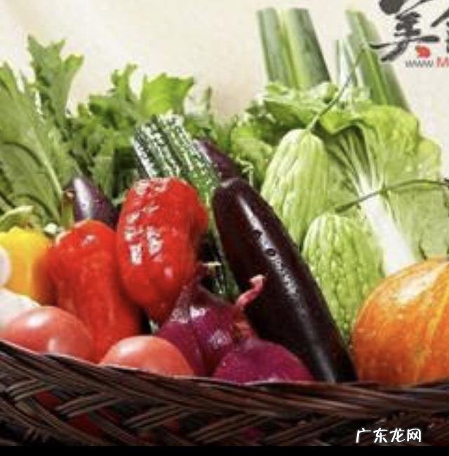 若患上慢性胃炎,在饮食上应该怎样调理比较好