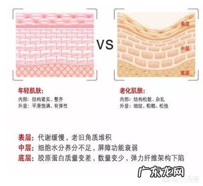 为什么随着年龄的增大？皮肤越发显得干燥？