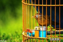 你觉得女人如何才能拥有安全感？