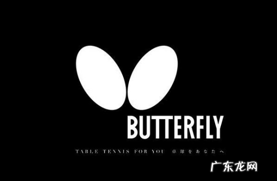 乒乓球发球机十大名牌排名 乒乓球发球机十大名牌