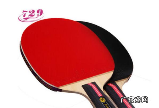 中国十大乒乓球拍排名 尧克排第几名 中国十大乒乓球拍排名