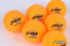 乒乓球品牌排行榜2019 乒乓球品牌排行榜