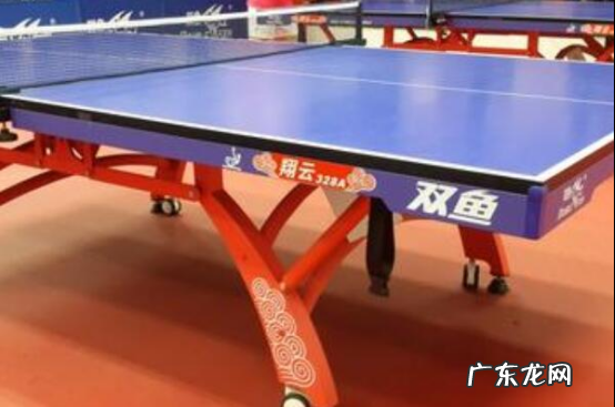 国产乒乓球桌排名 国产乒乓球桌品牌排行榜