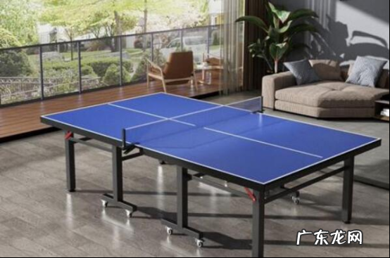 国产乒乓球桌排名 国产乒乓球桌品牌排行榜