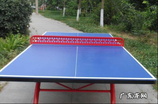 国产乒乓球桌排名 国产乒乓球桌品牌排行榜