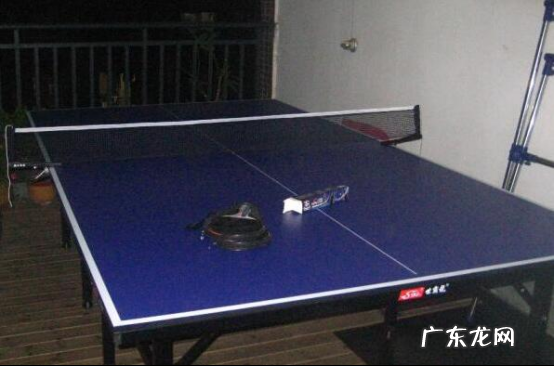 国产乒乓球桌排名 国产乒乓球桌品牌排行榜