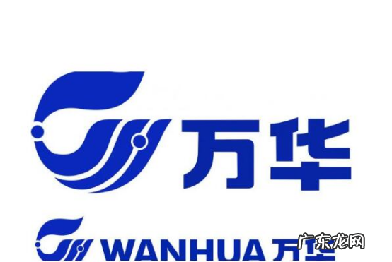 一线品牌生态板前十名2020 一线品牌生态板前十名