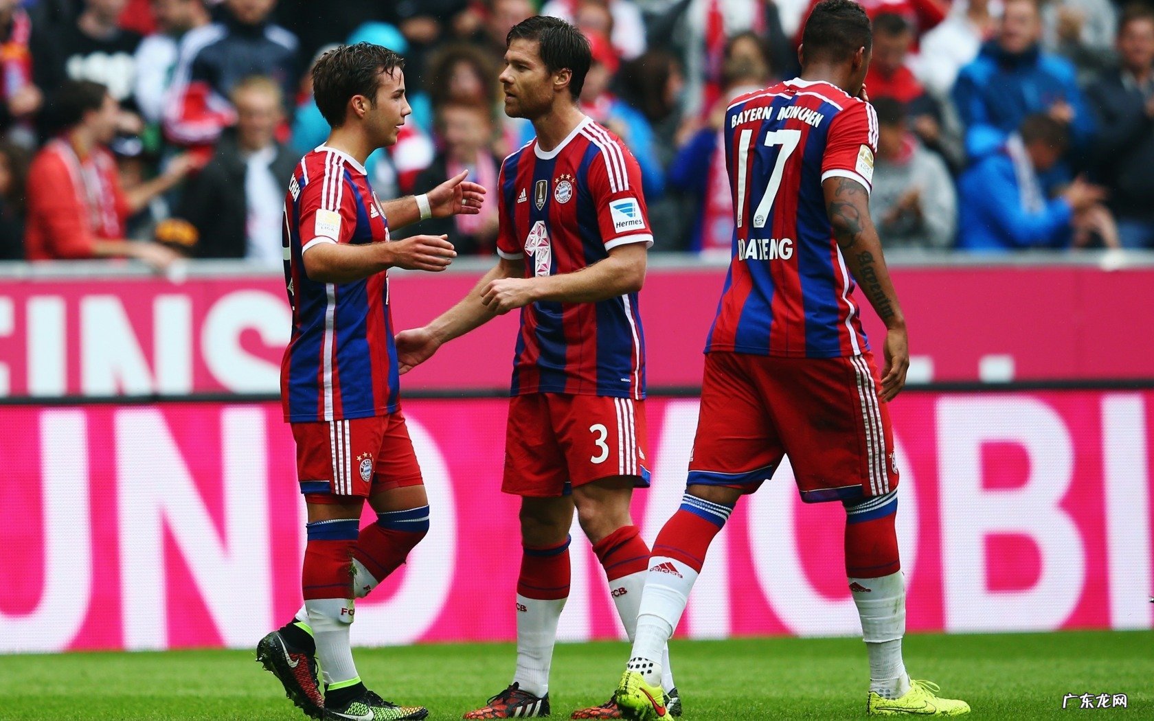 如何区分酵素的好坏,怎样制作酵素,你知道吗?